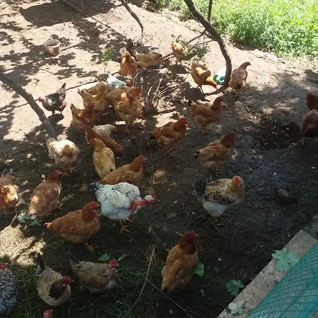 Prázdninový dům Kasaj *