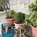 Kasaj Gjirokastër