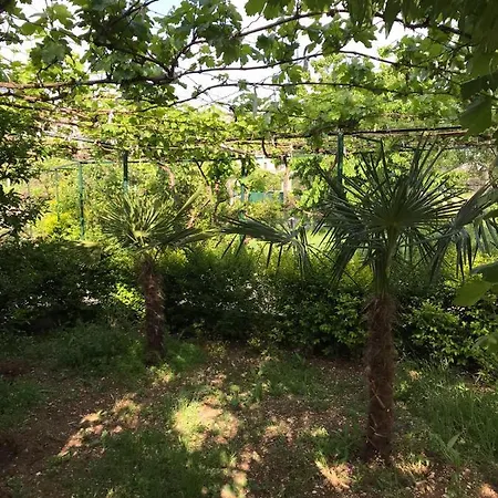 Дом отдыха Kasaj Гирокастра